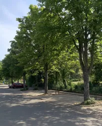 Parkplatz an der Schule