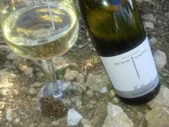 Weißburgunder