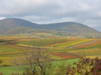 Blick von der Kleinen Kalmit (© Sophie Silbernagel)