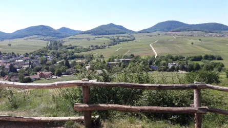 Eine malerische Landschaft mit sanften Hügeln und weitläufigen Feldern. Im Vordergrund ist ein Holzgeländer sichtbar.