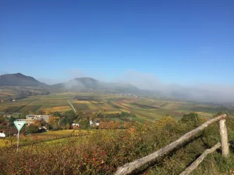 Eine malerische Landschaft mit sanften Hügeln und Weinbergen. Der Himmel ist klar und blauer, mit leichtem Nebel in der Ferne.