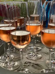 Eine Auswahl an Gläsern mit roséfarbenem Getränk auf einem Tablett. Im Hintergrund sind unscharfe Personen und eine grüne Umgebung sichtbar.