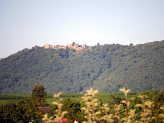 Madenburg