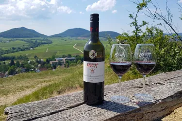 Eine Flasche Rotwein und zwei Gläser stehen auf einem Holzstamm mit einer malerischen Landschaft im Hintergrund. Die sanften Hügel und Weinberge unter einem blauen Himmel verleihen der Szene eine entspannte Atmosphäre.