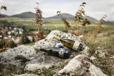 Zwei Weinflaschen liegen auf einem Stein in einer malerischen Landschaft. Im Hintergrund sind sanfte Hügel und eine kleine Stadt zu sehen.
