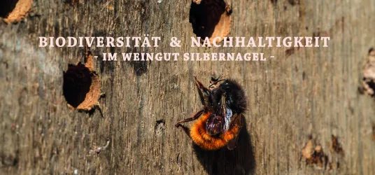 Biodiversität & Nachhaltigkeit