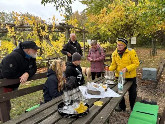 Die Weinverkostung findet im historischen Wingert in Ilbesheim statt