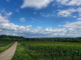 Ein malerischer Weg führt durch grüne Weinberge unter einem beeindruckenden, bewölkten Himmel. Im Hintergrund sind ein kleines Dorf und sanfte Hügel zu sehen.