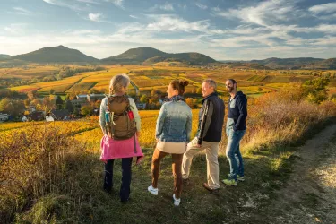 Ausblick von der Kleinen Kalmit im Herbst