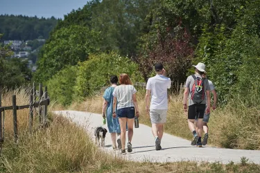 Eine Gruppe von vier Personen und einem Hund spaziert auf einem Weg umgeben von Natur. Der Himmel ist klar und die Sonne scheint.