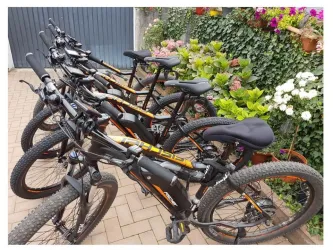 E-Mountainbikes E-Bike-Verleih Born