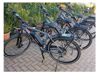 E-Trekkingbikes E-Bike-Verleih Born