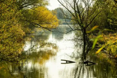 Ein ruhiger Fluss, umgeben von Bäumen mit herbstlichem Laub. Die Wasseroberfläche spiegelt die Landschaft wider.