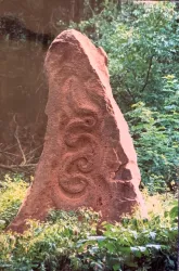 Wasserstein - Frankeneck