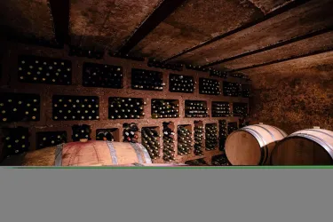 Weingut Markus Schädler_Keller 2