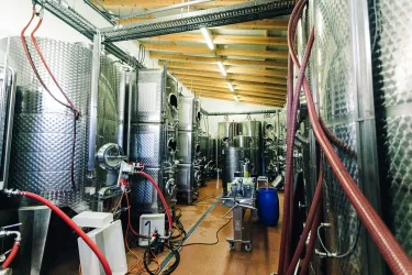 Weingut Markus Schädler_Keller