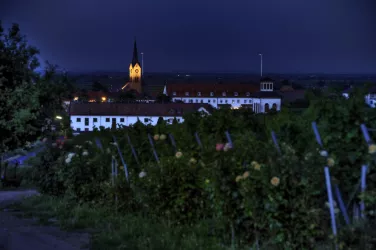 Hofgut Ruppertsberg 2