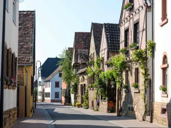 Eine malerische Straße mit historischen Häusern und Blumen, die an den Wänden wachsen. Die Atmosphäre wirkt ruhig und einladend.