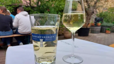 Auf einem Tisch stehen ein Stilweingläser und ein Pfälzer Schoppenweinglas jeweils mit Wein gefüllt. 