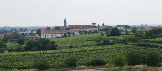 Weinlage Hoheburg