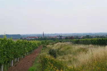 Blick in die Lage Reiterpfad