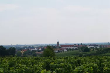 Ruppertsberg von Westen