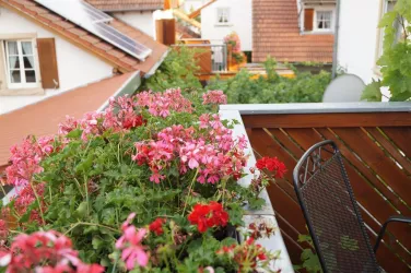 Ausblick vom Reiterpfad Balkon