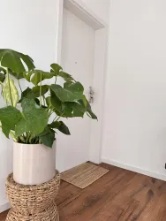 Eingangsbereich - Flur