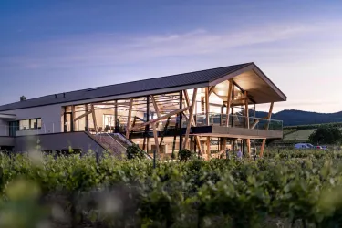 Ein modernes Gebäude mit großen Fenstern steht inmitten von Weinreben. Die Szenerie wird von einem sanften Licht bei Sonnenuntergang beleuchtet.