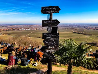 Ein Aussichtspunkt mit mehreren Wegweisern, die verschiedene Städte und Distanzen zeigen. Im Hintergrund ist eine weite Landschaft mit Weinbergen und einem blauen Himmel zu sehen.