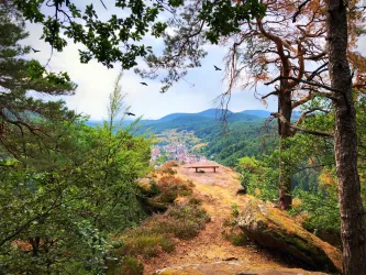 Eine malerische Aussicht von einem Felsen auf eine bewaldete Landschaft. Im Vordergrund ist eine Bank und im Hintergrund sind Täler und Hügel zu sehen.