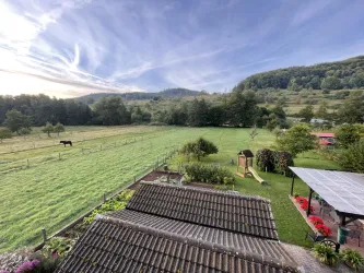 Eine weite Wiese mit einem gesunden, grünen Feld und sanften Hügeln im Hintergrund. Ein Pferd grast entspannt, und ein Garten mit bunten Blumen ist im Vordergrund sichtbar.