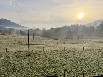 Eine neblige Landschaft mit grünen Wiesen und sanften Hügeln. Die Sonne geht hinter den Bäumen auf und schafft eine ruhige Stimmung.
