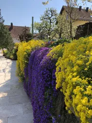 Garten (© Thomas Ries)