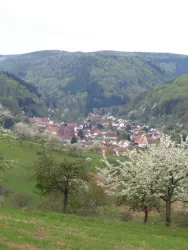Ortsbild Eußerthal (© Verein SÜW Annweiler e.V.)