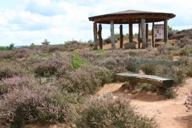 Eine ruhige Landschaft mit lila Heidekraut und einem Holzpavillon. Eine Bank lädt zum Verweilen und Genießen der Natur ein.