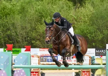 horse-jumping-4416634_1280
