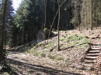 Ein malerischer Waldweg mit Laubbäumen und einem sonnigen Himmel. Auf der rechten Seite sind steinerne Stufen zu sehen.