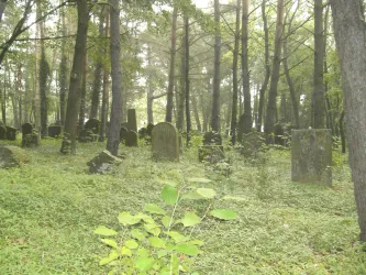 Jued_Friedhof_Mehling_06