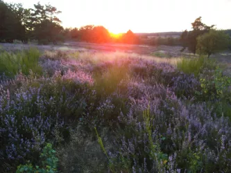sonnenuntergang2