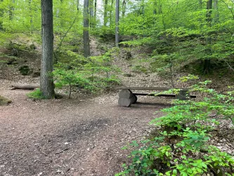Schallbrunnerweiher_03