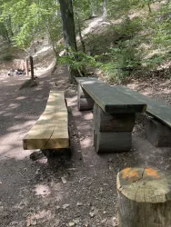 Schallbrunnerweiher
