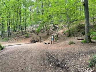 Schallbrunnerweiher_02