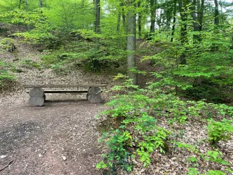 Schallbrunnerweiher_01