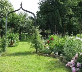 der Garten