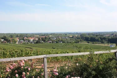 Aussicht auf Heuchelheim-Klingen (© Judith Fliehmann, Landau-Land)