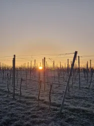 Die Sonne geht unter