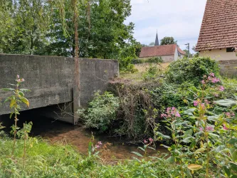 Ein kleiner Fluss fließt unter einer Betonbrücke hindurch. Umgeben von üppigem Grün und Blumen sind in der Ferne einige Gebäude zu sehen.