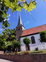 ...& beheimatet eine der ältesten Orgeln der Pfalz