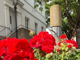 Brunnen mit Blumen